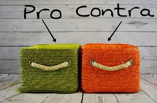 Comparativa de Guitarras para Principiantes y Profesionales
